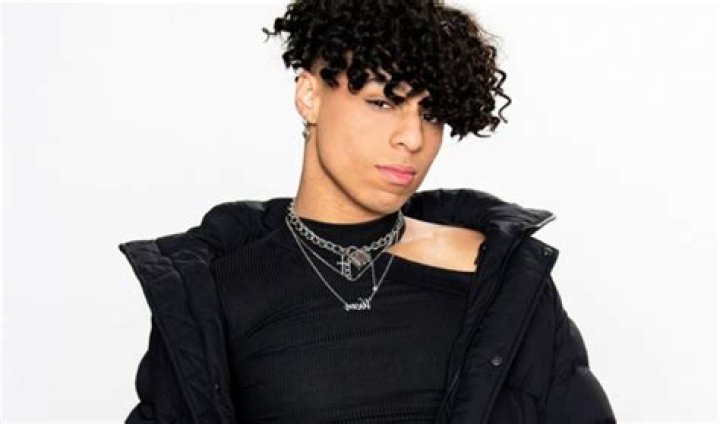 Is Nailea Devora Dating Larray? Know Their Relationship Status!
